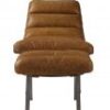 Bisonte otomano - Imagen 4
